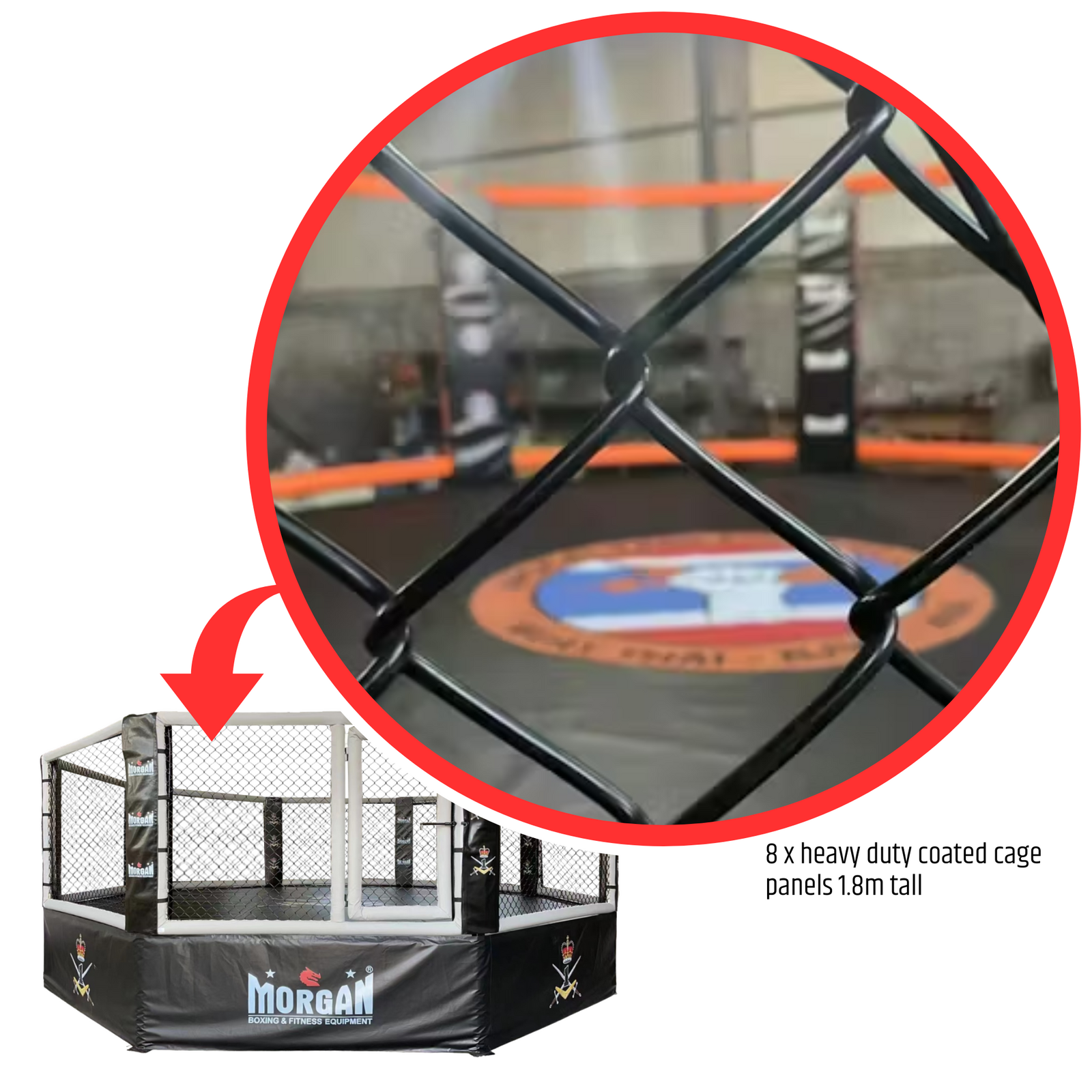 MORGAN CUSTOM RAISED MMA CAGE | 7m x 7m (1m raised)