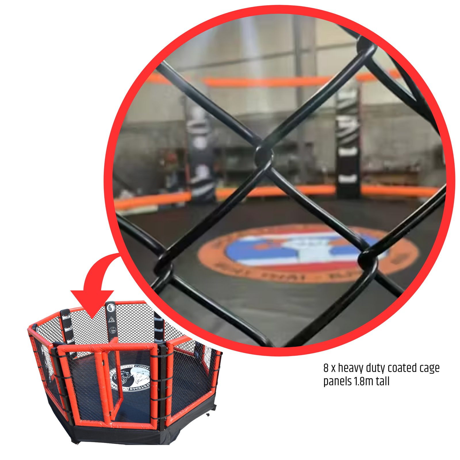MORGAN CUSTOM RAISED MMA CAGE | 8m x 8m (50cm raised)