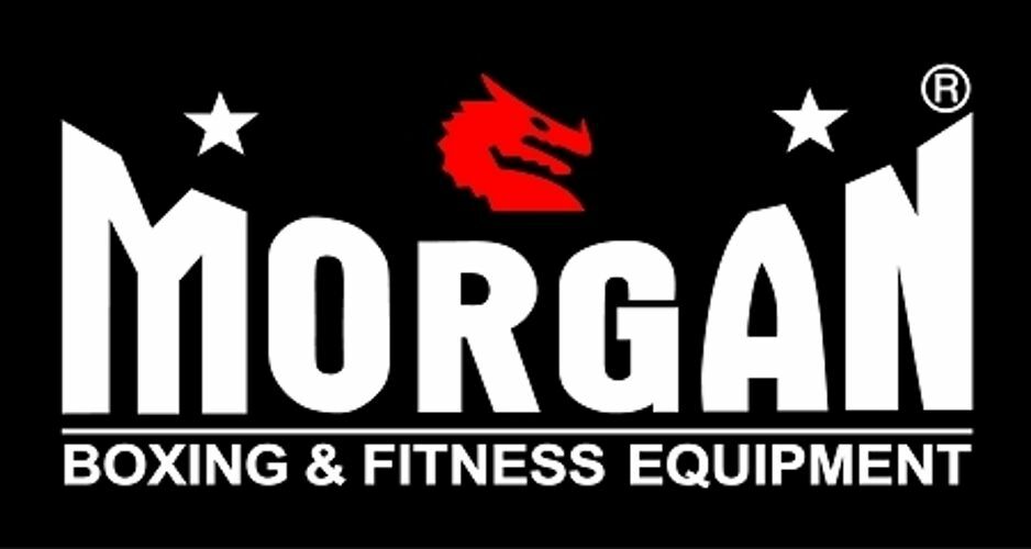 Small Morgan Logo Banner (1.5m x 90cm) - Morgan Sports