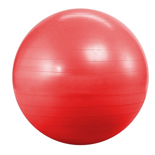 Gym Ball (55cm) - Morgan