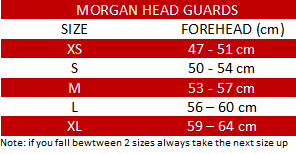 MORGAN V2 PROFESSIONAL LEATHER HEAD GUARD