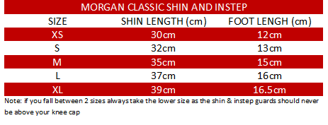 MORGAN V2 CLASSIC SHIN & INSTEP