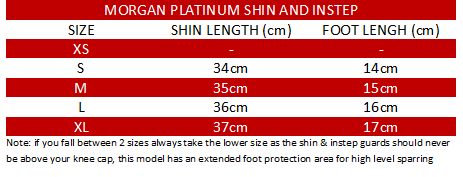 Sparring Shin and Instep Protection