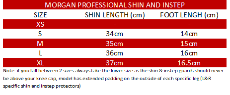Shin and Instep Protection