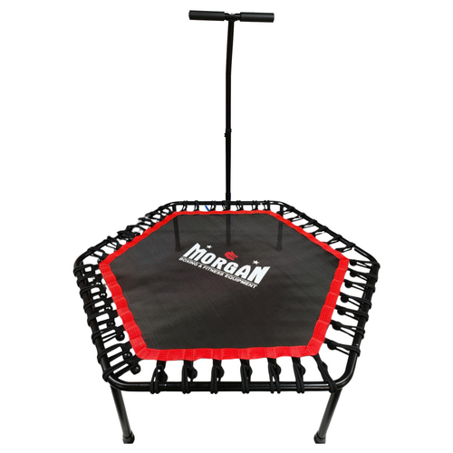 Morgan 48" Commercial Hex Rebounder