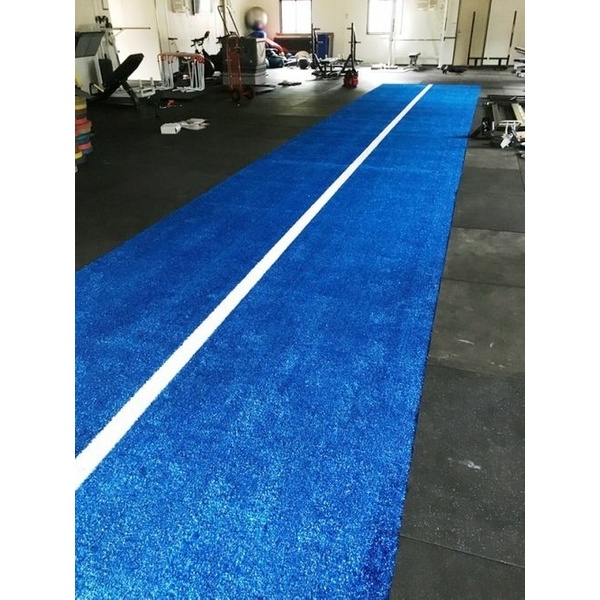 MORGAN BLUE ASTRO TURF (15m x 2m)
