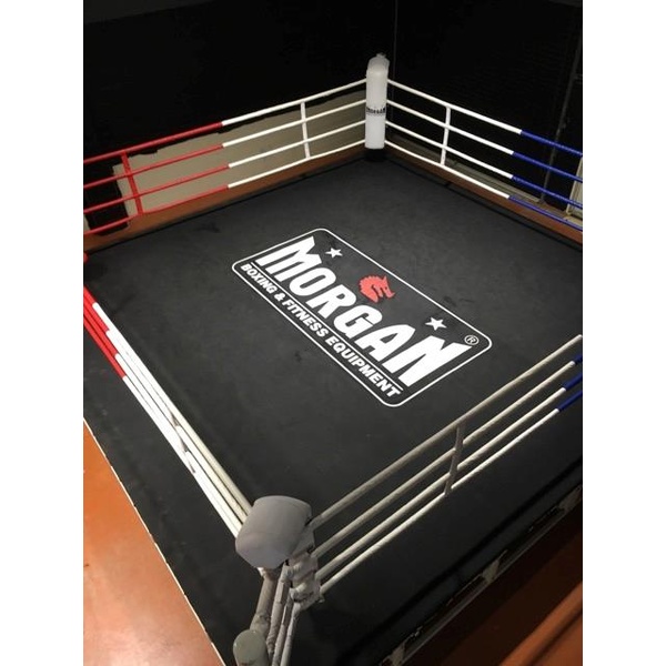 MORGAN 6M BOXING RING CANVAS