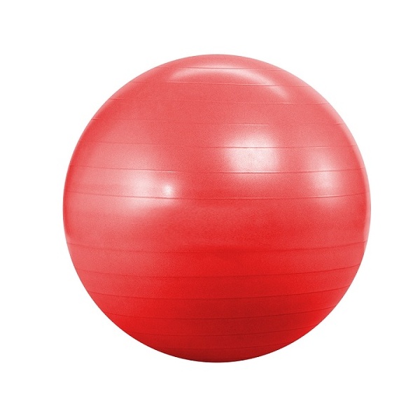 MORGAN GYM BALL (55CM)